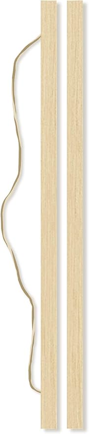 Trends International The Constitution Wall Poster, 22.375" x 34", Premium Print and Beechwood Hanger Bundle
