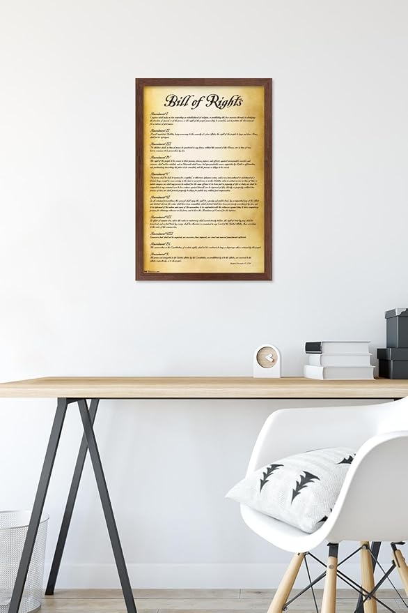 Trends International The United States of America - Bill of Rights Wall Poster, 14.725" x 22.375", Mahogany Framed Version