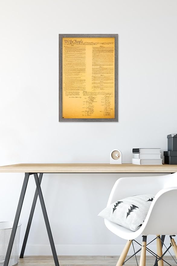 Trends International The Constitution Wall Poster, 14.725" x 22.375", Barnwood Framed Version