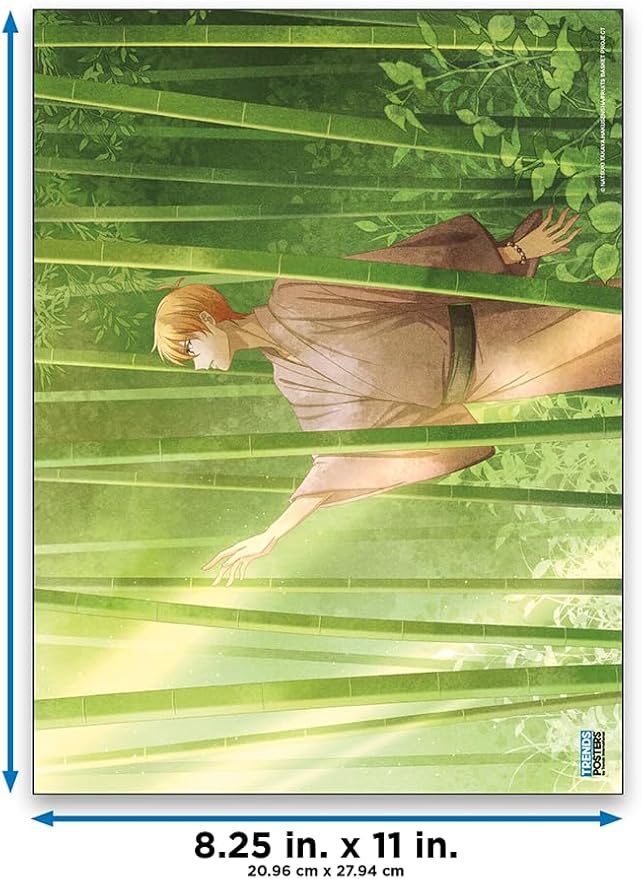Fruits Basket Poster Book Poster Book