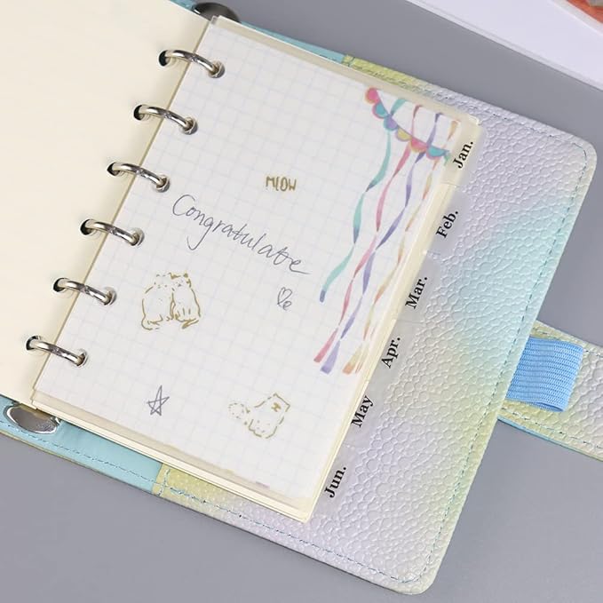 2 Pack A7 Binder Dividers 6 Tabs Clear Plastic Binder Index Tabs Planner Divider for Round Ring Binder Sheet Protector (Total 12 Dividers)