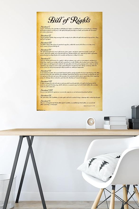 Trends International The United States of America - Bill of Rights Wall Poster, 22.375" x 34", Premium Poster & Mount Bundle