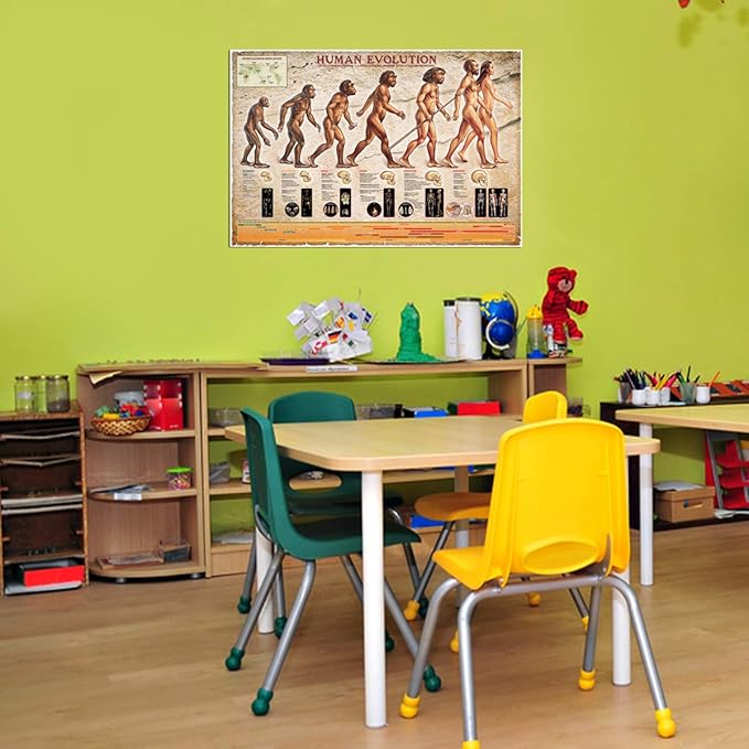 Human Evolution, Poster 36 x 24 inch by Eurographics