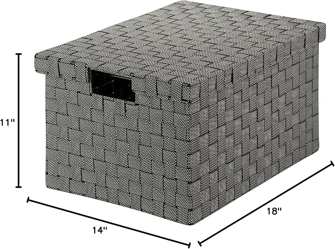 Honey-Can-Do Honey Can Do Large File Box, Speckled OFC-03703 Black