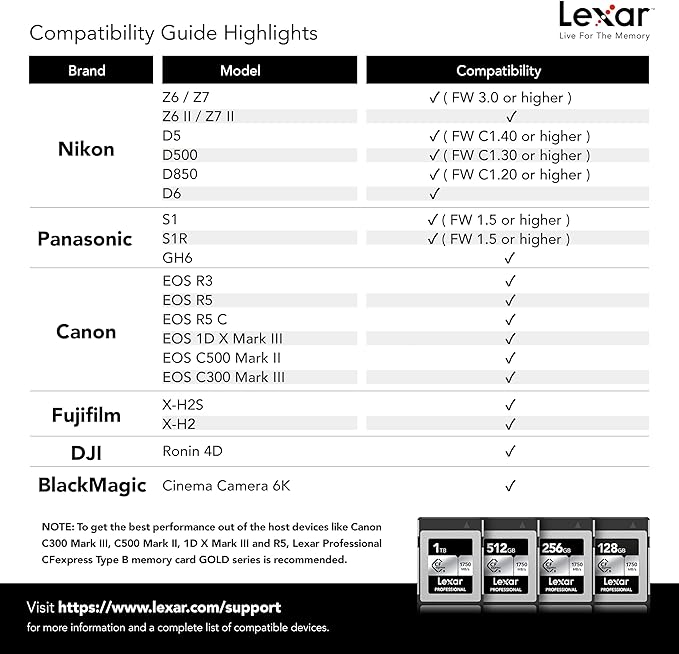 Lexar 256GB Professional CFexpress Type B Silver Series Memory Card, for Photographers, Videographers, Up to 1750/1300 MB/s, 8K Video (LCXEXSL256G-RNENG)