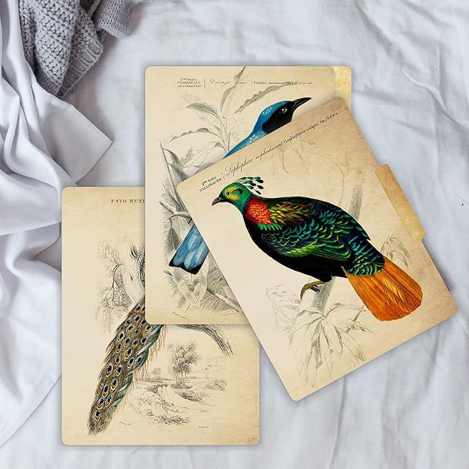 PARTH IMPEX 12 Pack Decorative File Folders, 1/3 Cut Tab with Assorted Positions, Letter Size Paper Holders (9.75” x 11.75”) Matte Finish Laminated for Office School Work - Vintage Birds Design