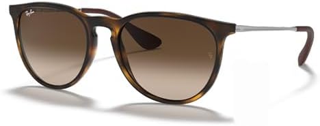 Ray-Ban RB4171 ERIKA Round Sunglasses For Women +BUNDLE with ACCESSORY EYEWEAR KIT