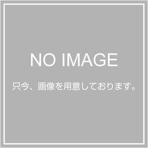 Panasonic Entrance Pole W CT0700W Nameplate for Type 1,3,4