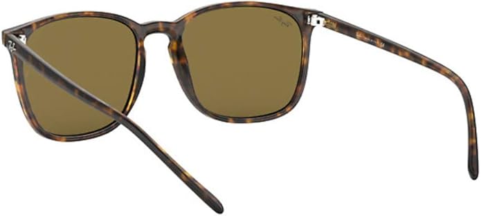 Ray-Ban Unisex Rb4387 Evolve Photochromic Square Sunglasses