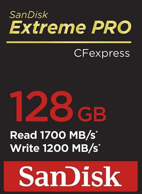 SanDisk 128GB Extreme PRO CFexpress Card Type B - SDCFE-128G-GN4NN, Silver