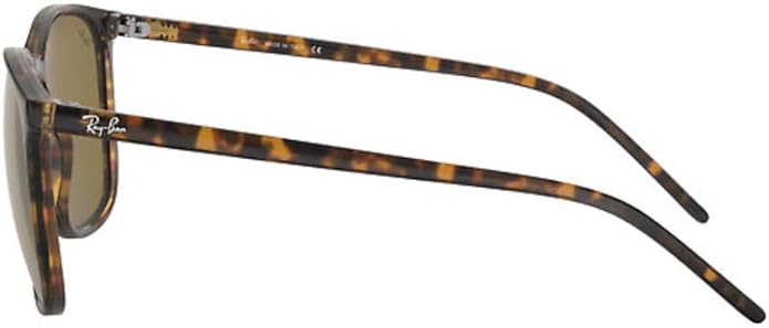 Ray-Ban Unisex Rb4387 Evolve Photochromic Square Sunglasses