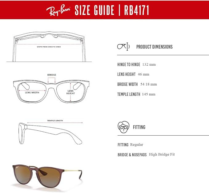 Ray-Ban RB4171 ERIKA Round Sunglasses For Women +BUNDLE with ACCESSORY EYEWEAR KIT