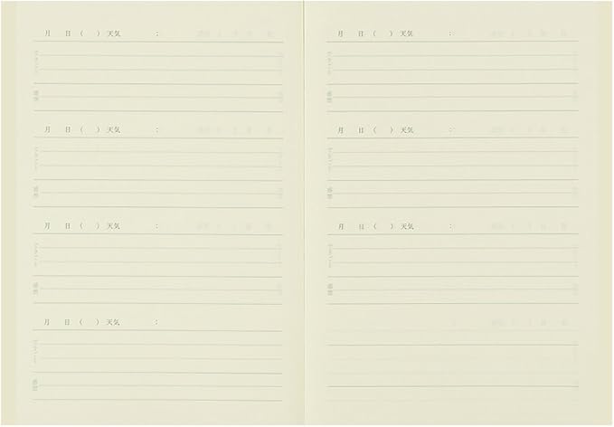 DESIGNPHIL Midori 12870006 Notebook Diary, Night A, Owl