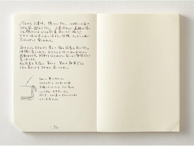 DESIGNPHIL Midori 15312006 Notebook, MD Notebook, Journal, A5, 1 Page Per Day, Unruled, A