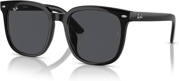 Ray-Ban Unisex Rb4401d Square Sunglasses