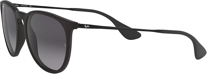 Ray-Ban womens Rb4171 Erika Round Sunglasses
