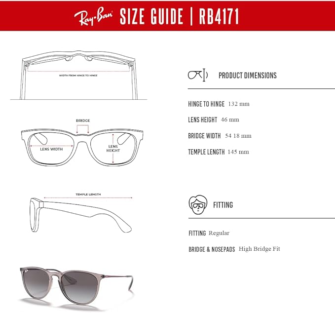 Ray-Ban RB4171 ERIKA Round Sunglasses For Women +BUNDLE with ACCESSORY EYEWEAR KIT