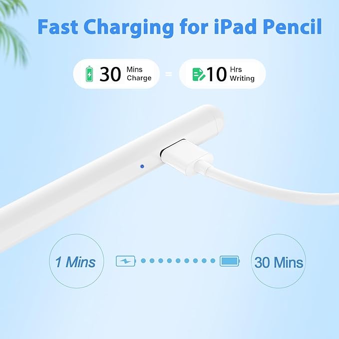 Stylus Pen for iPad Pencil 6th-10th&11th Gen,2Pack Pencil Pro with Palm Rejection iPad Pen for 2018-2025 iPadPro 11/12.9/13in/M4,iPad Air 13/11(M2/M3),iPad Air 3/4/5,iPadMini 7/6/5