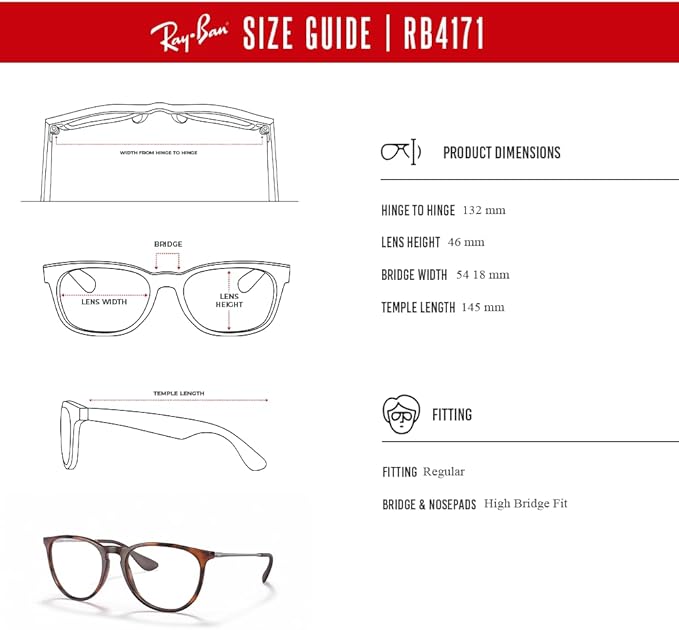 Ray-Ban RB4171 ERIKA Round Sunglasses For Women +BUNDLE with ACCESSORY EYEWEAR KIT