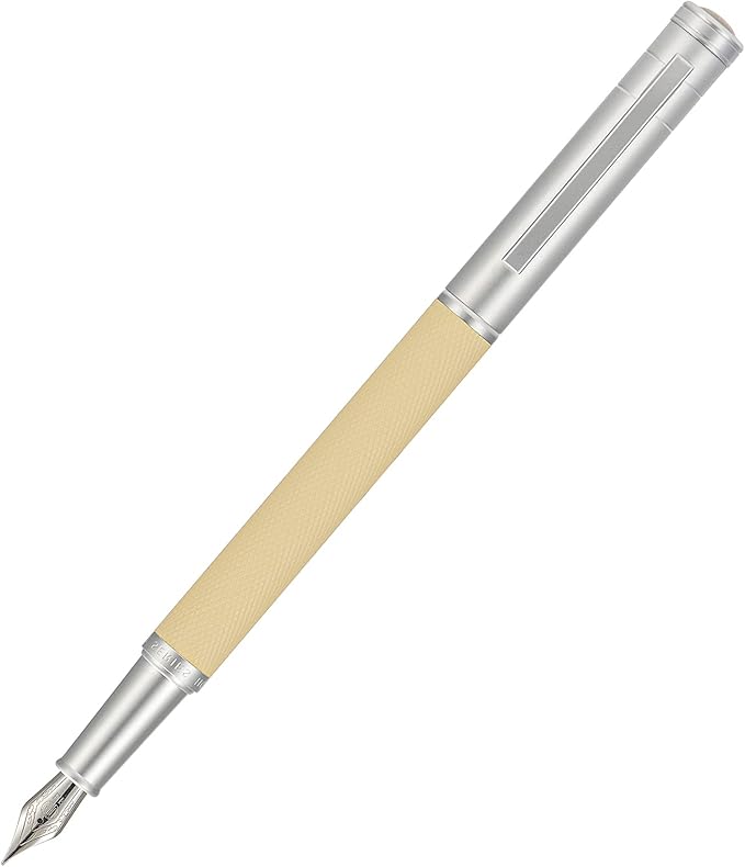 Silver Birch Forest Aluminum Fountain Pen Fine Nib with Converter and Metal Gift Box Set By Asvine