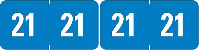 Smead ETS Color-Coded Year Label, 2021, Label Sheet, Light Blue, 250 Per Pack (67921) (Pack of 2)