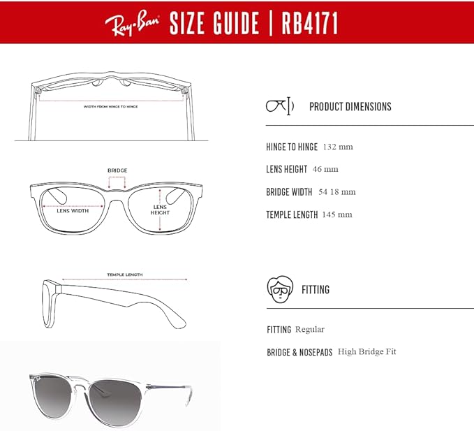 Ray-Ban RB4171 ERIKA Round Sunglasses For Women +BUNDLE with ACCESSORY EYEWEAR KIT