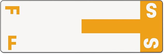 Smead AlphaZ NCC Color-Coded Labels, Letters F&S, Gray, 100 Labels per Pack (67157), Orange