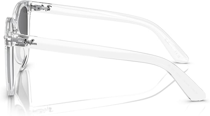 Ray-Ban Unisex Rb4401d Square Sunglasses