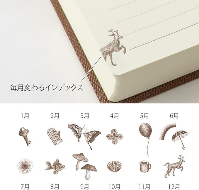 DESIGNPHIL Midori 12395006 Diary, 3 Year Consecutive Door, Brown