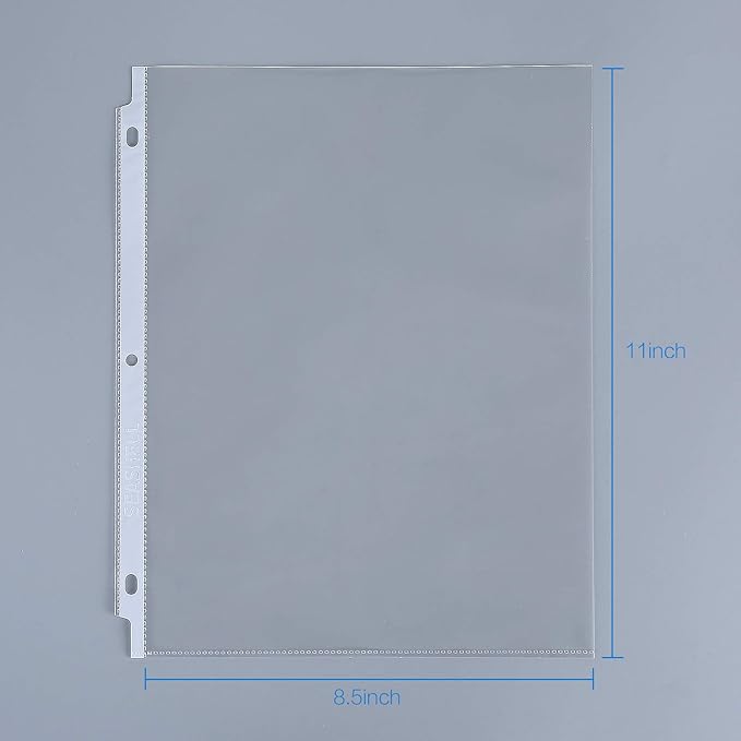 Seashell 250 Economy Sheet Protectors 8.5 x 11, Clear Plastic Page Protectors for 3 Ring Binder, Letter Size, Acid Free, Top Loading, Binder Sleeves for 8.5 x 11 Inch Sheets