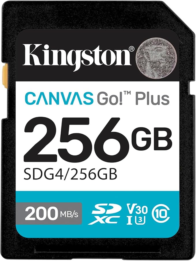 Kingston Canvas Go Plus 256GB SD Card | Up to 200MB/s | Class 10, UHS-I, U3, V30 | SDG4/256GB