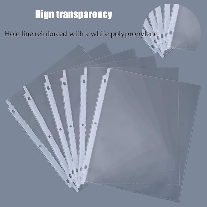 Seashell 250 Economy Sheet Protectors 8.5 x 11, Clear Plastic Page Protectors for 3 Ring Binder, Letter Size, Acid Free, Top Loading, Binder Sleeves for 8.5 x 11 Inch Sheets
