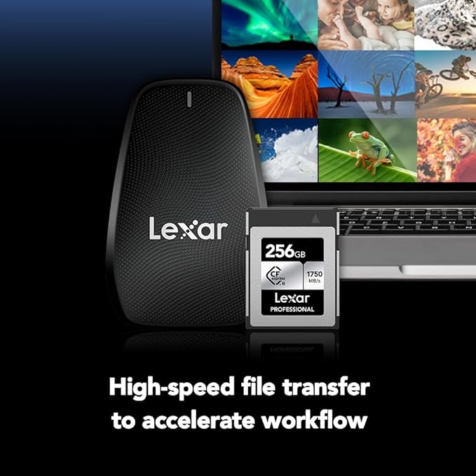 Lexar 256GB Professional CFexpress Type B Silver Series Memory Card, for Photographers, Videographers, Up to 1750/1300 MB/s, 8K Video (LCXEXSL256G-RNENG)