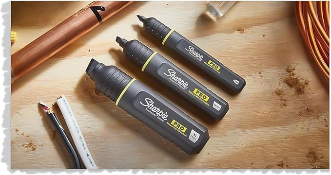 Sharpie Pro Permanent Marker, Fine Point, Black, 12 Count (2017818)