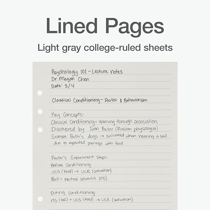 Oxford A5 Refill Paper, 6 Ring Lined Paper with Pastel Binder Dividers, 5 Tabs, 120 Sheets, 6 x 8.25 Inches, Notebook, Bullet Journal and Planner Inserts (1016731)