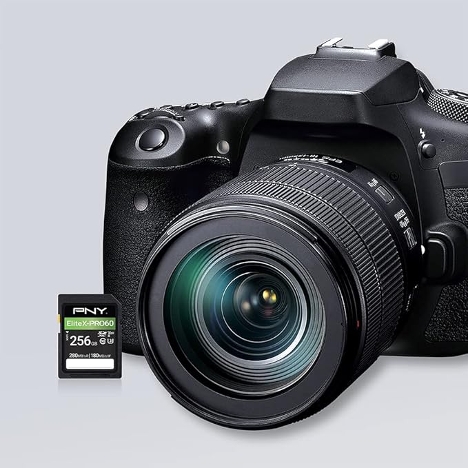 PNY 256GB EliteX-PRO60 UHS-II SDXC Memory Card - R280MB/s W180MB/s, U3, V60, 4K UHD, Full HD, UHS-II for Professional Photographers & Content Creators, DSLR Mirrorless Cameras, Advanced Video Cameras