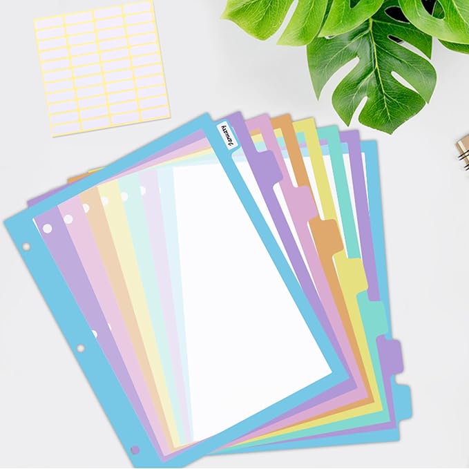 48Pcs/6 Set 8 Tab Dividers, Clear Plastic Binder Dividers with Tabs, for 3 Ring Binder, Letter Size, Multicolor