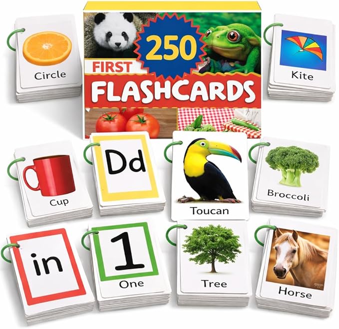 Flash Cards for Toddlers 1–3 with Rings,250 Double-Sided Cards,500 Words–1 Year Old Girl & Boy Gifts – Toddler Flash Cards–Learning & Educational Toys for 1+ Year Old, Montessori Toys for 2 Year Olds