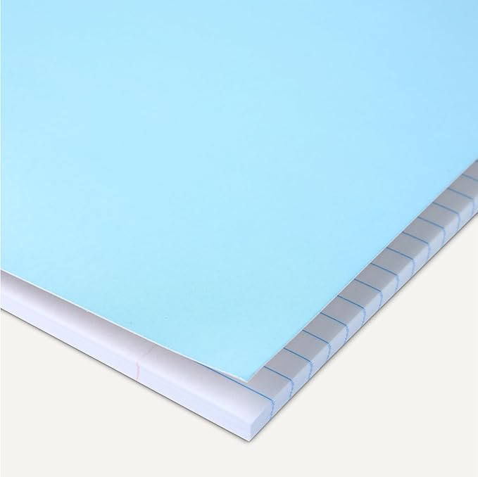 Amazon Basics College-Ruled Spiral Notebook, For Work and School, 70 Sheets, 8" x 10.5", Light Blue, 2-Pack