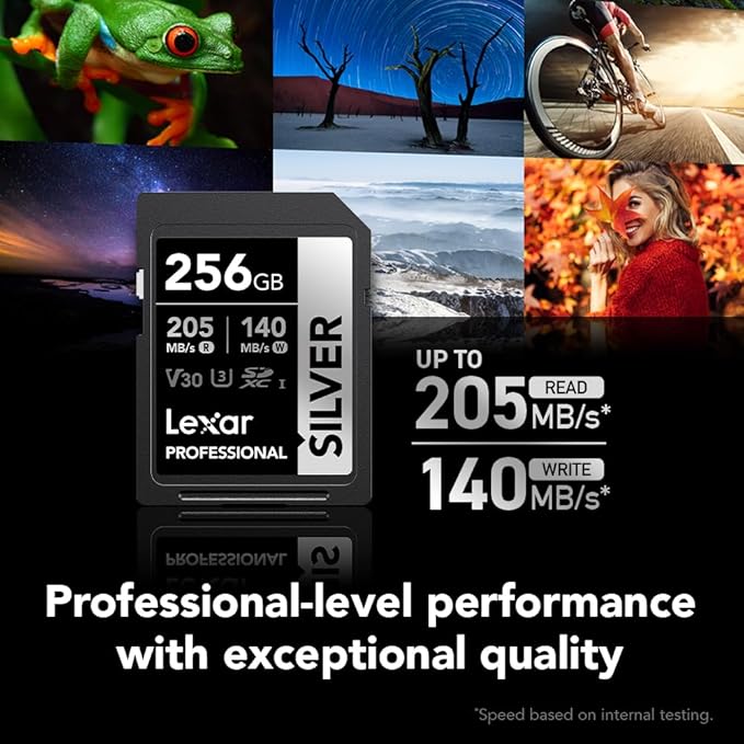 Lexar 256GB Professional Silver SD Card, UHS-I, C10, U3, V30, 4K, Up to 205/140 MB/s SDXC Memory Card, for Photographer, Videographer, Enthusiast (LSDSILV256G-BNNNU)