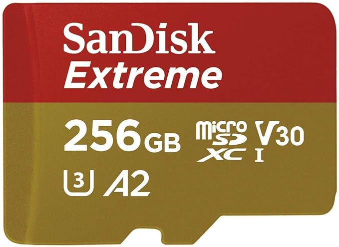 SanDisk Extreme 256GB MicroSD Card for GoPro Works with GoPro Hero 10 Black Camera UHS-1 U3 / V30 A2 4K Class 10 SDSQXA1-256G-GN6MN Bundle with 1 Everything But Stromboli Micro SD Memory Card Reader