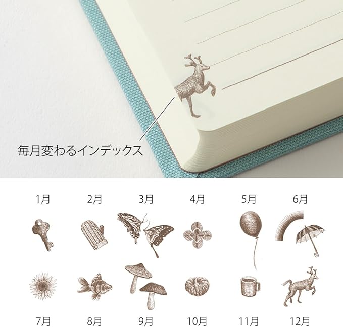 Phil design Three Years Diary/Design Phil Green Diary 3 Years Continuous Use Door Light Blue 12,394,006