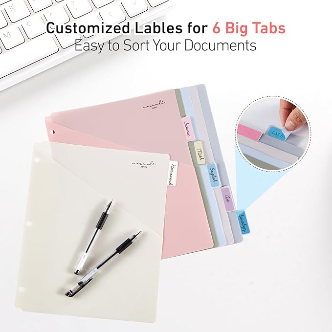 6-Tab Dividers for 3 Ring Binder, 24 Counts Binder Dividers Index with One Pocket, Letter Size 8.5 x 11'', Morandi Colors (4)
