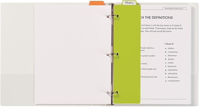 Avery Snap-in Bookmark Plastic Dividers for 3 Ring Binders, 5-Tab Set, Multicolor with White Labels, 1 Set (24908)