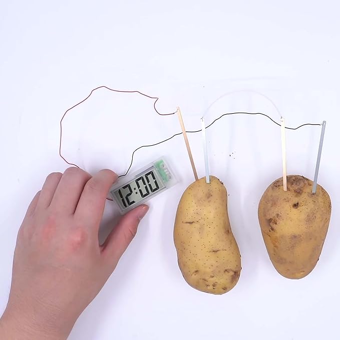 4M: Green Science: Potato Clock - DIY & Experience Battery-Free Renewable Energy, Power A Digital Clock, STEM Learning Craft Activity Kit, Kids Age 5+