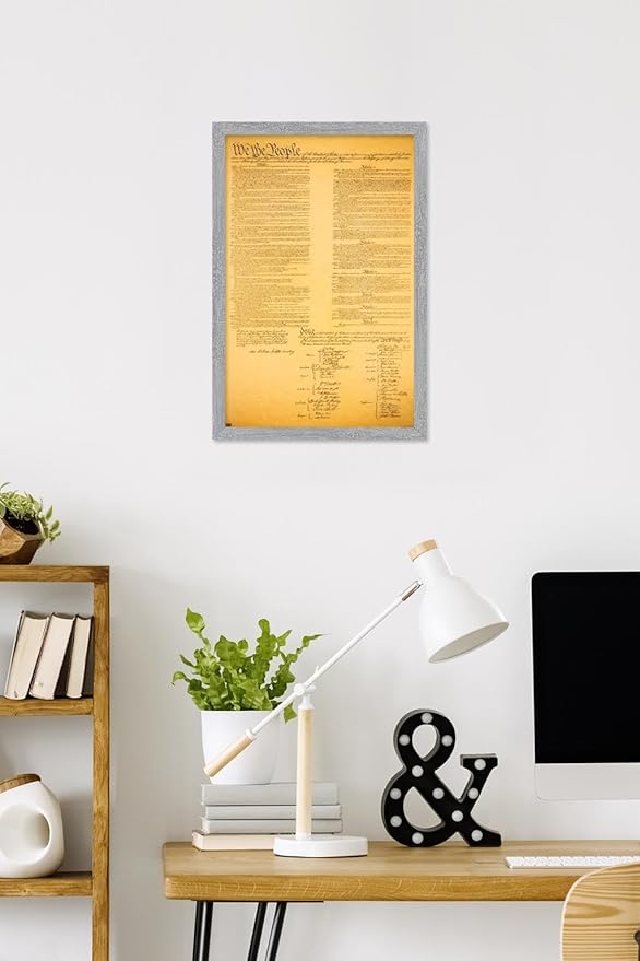 The Constitution Wall Poster, 22.4L" x 14.7W", Gray Framed Version