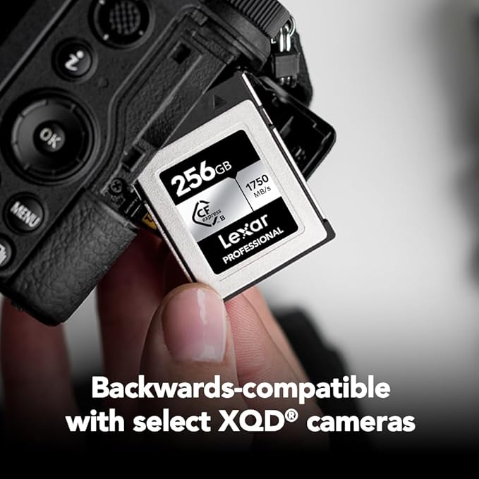 Lexar 256GB Professional CFexpress Type B Silver Series Memory Card, for Photographers, Videographers, Up to 1750/1300 MB/s, 8K Video (LCXEXSL256G-RNENG)