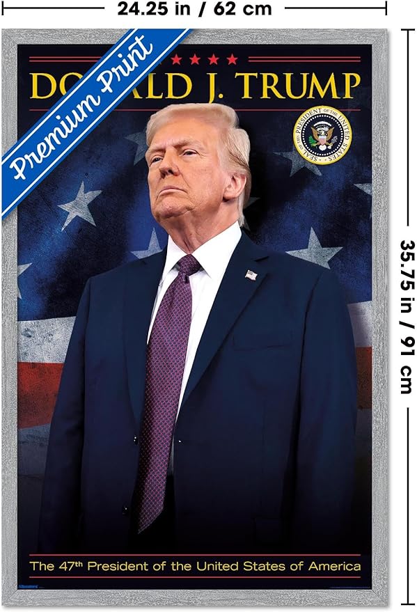President Donald Trump - 47th President Wall Poster, 34L" x 22.4W", Gray Framed Version