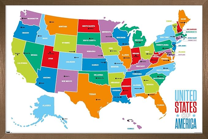Trends International Map - United States Of America 2022 Wall Poster, 14.725" x 22.375", Bronze Framed Version