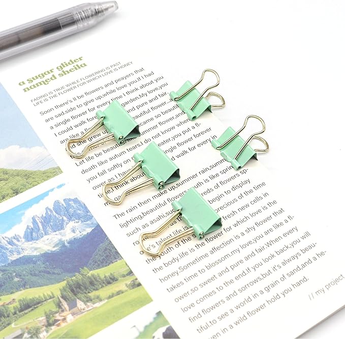 Light Green Binder Clips, Mini Paper Clip, Small Paper Clamps 15mm (5/8 inch), 100 Pack Micro Size Office Clips for Home School and Business (Light Green)
